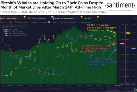 Bitcoin whale switches long $BTC positions to long $ETH, rakes in millions with insider trading suspicions