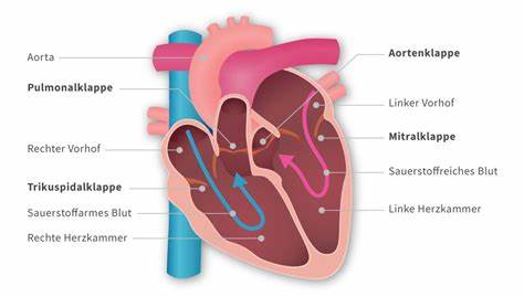 bunte Sehstörung - Seite 2 - Die Herzklappe - Die Herzklappe - Das Forum