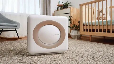 The 7 Best Prime Day Air Purifier Deals From Levoit, Coway And More - Forbes