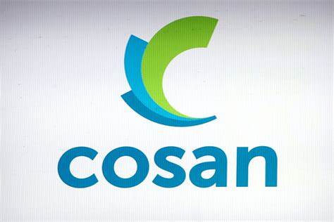 Vibra started talks to buy Cosan's lubricants arm, Brazil Journal reports