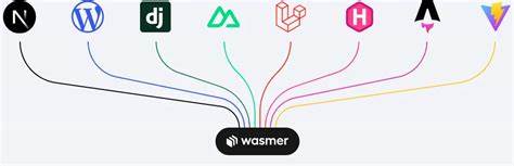 Wasmer 6.0