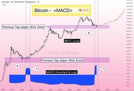 Bitcoin mimics 2015 bottom pattern hinting ‘massive bull run’ might be ahead - Finbold - Finance in Bold