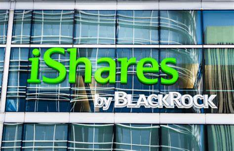 iShares Bitcoin ETF Options to Curb Volatility and Expand Investor Base, Says Galaxy Digital - Crypto News Australia