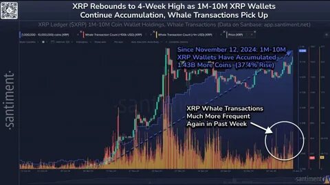 XRP News: Ripple (XRP) Whales Quietly Accumulating as ExoraPad Prepares for Major AI-Powered Launch - Analytics Insight