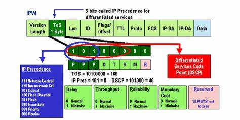 IP Precedence Bits