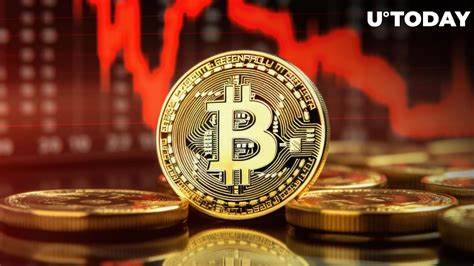 Bitcoin Crash Over? Top Trader Predicts Massive Recovery & Altcoin Boom! - Coinpedia Fintech News