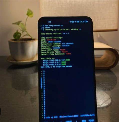 Hosting Website on Phone