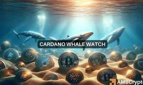 Whales Drive Momentum: Ripple, Cardano, and Avalanche Eye Record Highs