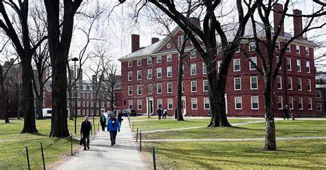 Research across science and medicine will shrink at Harvard amid a new reality