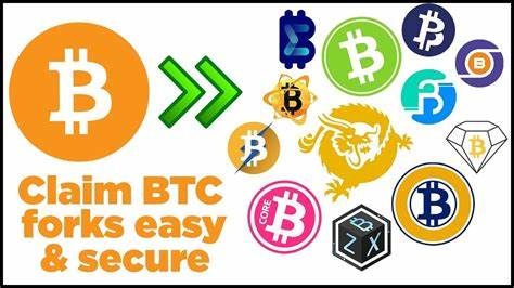 A Guide to Bitcoin Forks and How to Claim Them in 2025 - 99Bitcoins