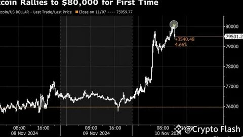 Bitcoin reaches $80,000 for first time on optimism over Trump - The Economic Times