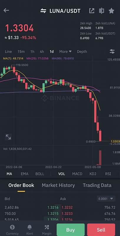 Luna crypto crash wipes out savings of thousands of investors, sparking fears for sector - EL PAÍS USA
