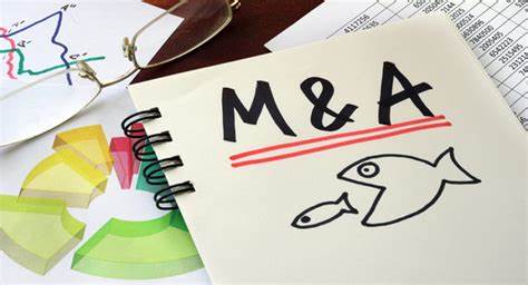 M&A Is Back. These Stocks Could Be Targets