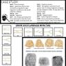 Study detects AI fingerprints in scientific papers