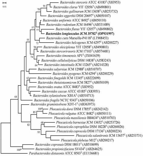 Phylo-rs: an extensible phylogenetic analysis library in Rust