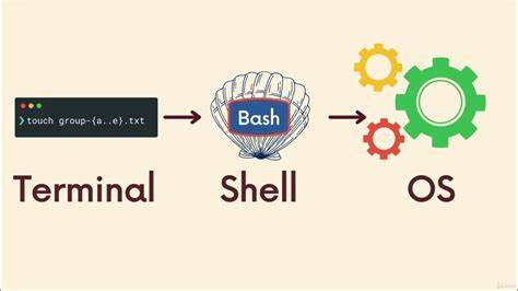 Ask HN: What terminal shells do you use, and why?