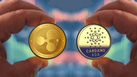 Cardano Founder Donates Big to XRP Lawyer’s Senate Campaign - DailyCoin