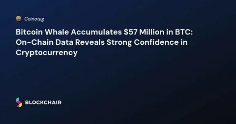 Bitcoin Whale Accumulation Hits $3 Billion, But These 3 Altcoins Will Do 100x Before The Next BTC Run