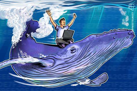 New Whales Accumulate Significant Bitcoin Holdings - Blockchain.News