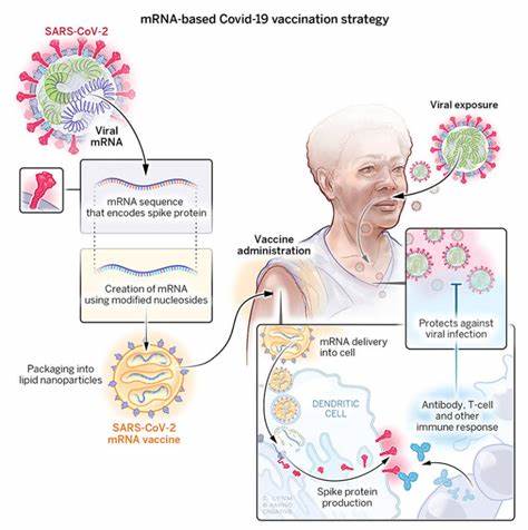 Modified mRNA vaccine masquerades as virus to trick body into stronger immunity
