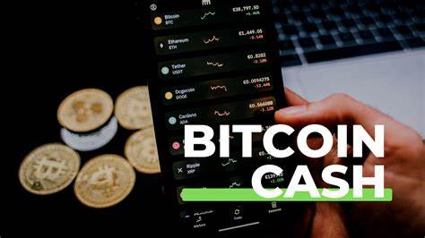 Commentary: Bitcoin is starting to look like more than a passing fad - CNA