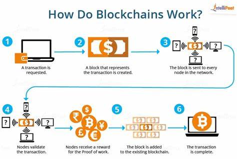 Blockchain in business school: Interest among MBA students hasn't waned despite crypto crash - Fortune