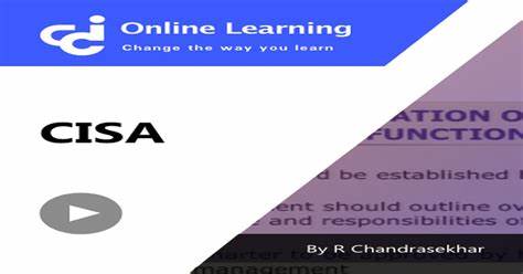 CISA program gave out $20k+ payments to unqualified employees, auditor says