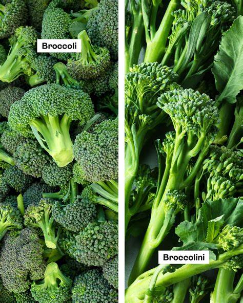 Privacy Is Like Broccoli