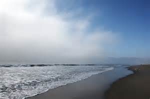 Former fisheries CFO sentenced to eight months in prison for theft