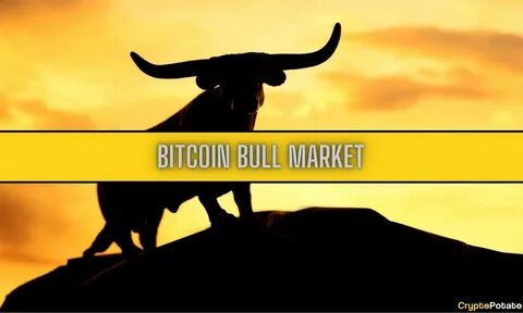 How to Prepare for the Next Bitcoin Bull Market: 10 Tips You Must Know - CryptoPotato