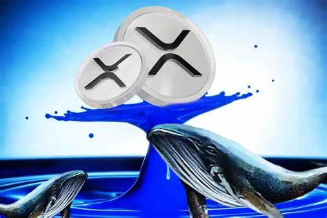 XRP Price Skyrockets 10%, Whale Activity Hits Record High!