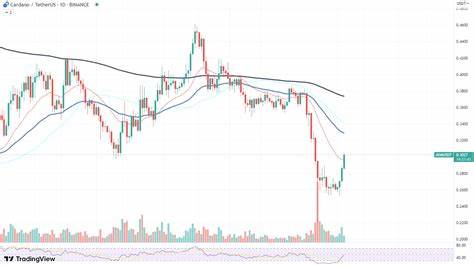 Enormous Cardano (ADA) Buying Spree Happening Right Now - U.Today