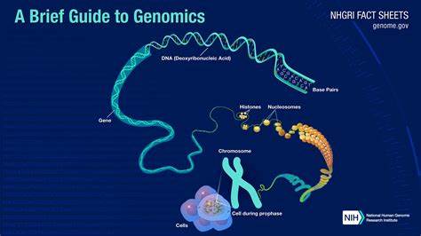 What Is Geonomics and Why Is It Good to Know?