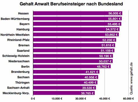 Anwalt: So viel können Berufseinsteiger in der Branche verdienen