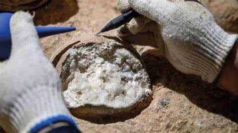 Dinosaur Egg Dated Directly