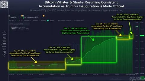 Bitcoin Whales and Sharks Return as Accumulation Resumes - TronWeekly