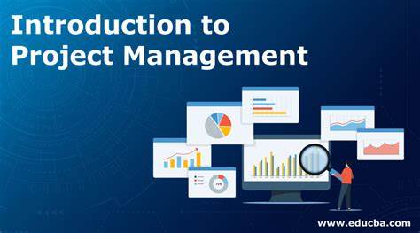 An Introduction to Project Management in the Public Service