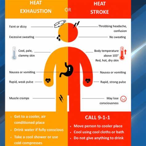 Canadian scientist has risked heat stroke 1k times