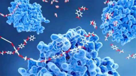 ما هو انزيم الاميليز وما علاقته بالفيزيولوجيا المرضية؟