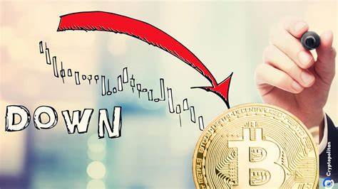Bitcoin falls 25% from all time high, slides below $80,000 amid Donald Trump's tariff concerns - The Times of India
