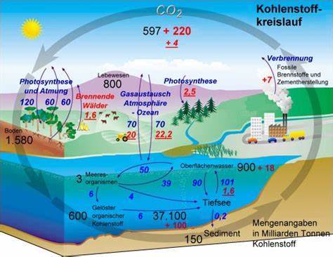 Quantifizierung des globalen Kohlenstoff-Kreislaufs