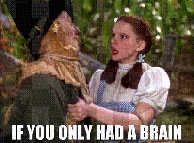 You only have one brain