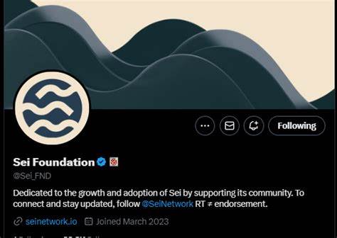 Sei Foundation backs new U.S. nonprofit in bid to fuel protocol's adoption and growth - The Block