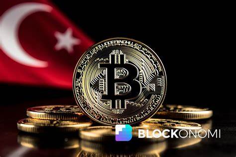 Turkey Introduces New Crypto Regulations in the Last Week of 2024 - BeInCrypto