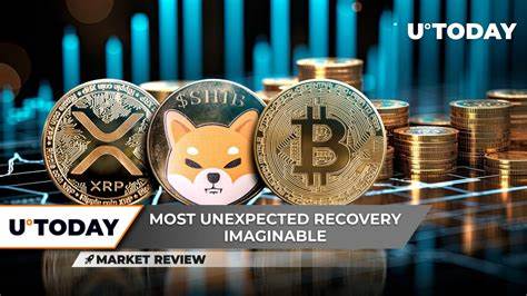 Bitcoin's Road Below $50,000: Are You Ready? Here's Why Shiba Inu (SHIB) Can't Wake Up, XRP Breaches Key Support Level