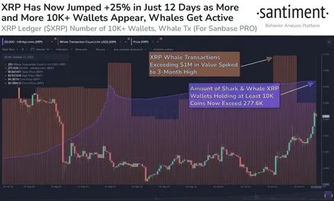 XRP Price Analysis: Whale Activity Pushes XRP to $1.14 Resistance - Analytics Insight