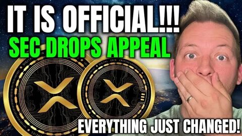XRP News Today: SEC Drops the Appeal; Ripple Eyes Cross Appeal; BTC at $86k - FX Empire