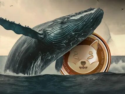 Mysterious Whale Buys the Dip – Here Is His Top 5 Crypto Picks