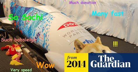 It's bobsleigh time: Jamaican team raises $25,000 in Dogecoin - The Guardian