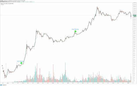 Bitcoin last down 5% at $78,892.92 - Reuters
